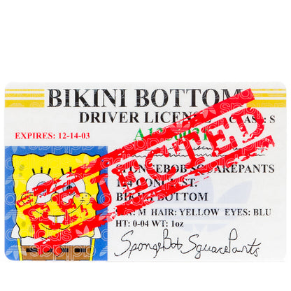 Freizeit SpongeBob SquarePants